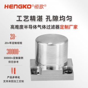 氣體過濾IGS面板專用過濾器_半導體潔凈高純氣體過濾器 兼容多種密封